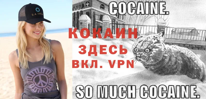 omg ССЫЛКА  Цоци-Юрт  COCAIN Fish Scale  где купить  